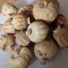 Mohnkapseln online kaufen