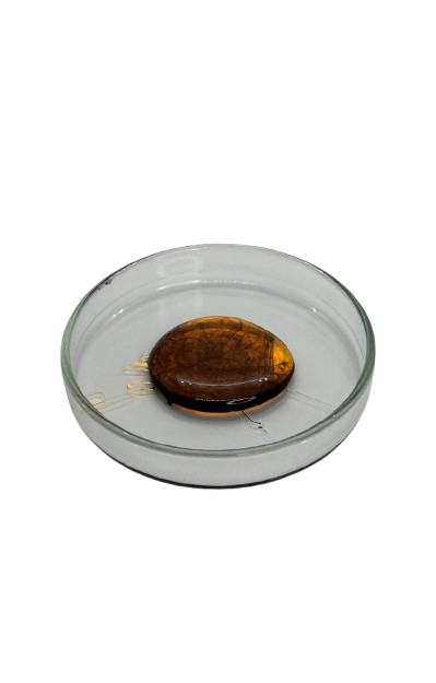 D8 Tetrahydrocannabiphorol THCP online kaufen