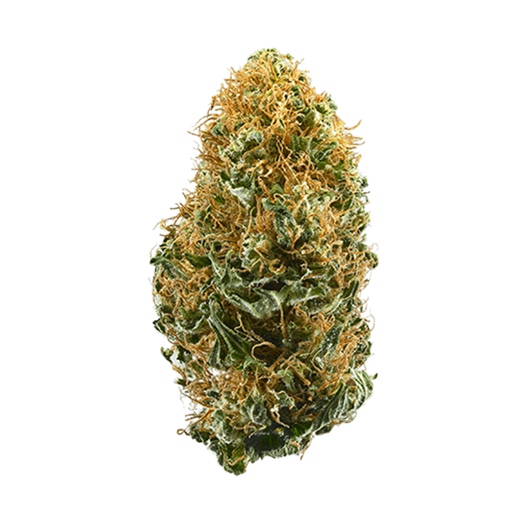 white-widow Online weed kaufen
